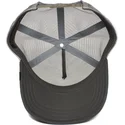 kepure-islenkta-pilka-snapback-king-of-the-jungle-the-farm-goorin-bros