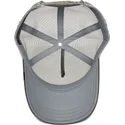 kepure-islenkta-pilka-snapback-eye-of-the-tiger-the-farm-goorin-bros
