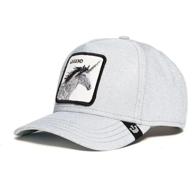 kepure-islenkta-pilka-snapback-purpurina-believer-the-farm-goorin-bros