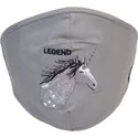 kaukes-ir-apsauga-pilka-mascarilla-reutilizable-living-legend-the-farm-goorin-bros