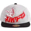 kepure-plokscia-pilka-snapback-japanese-difuzed