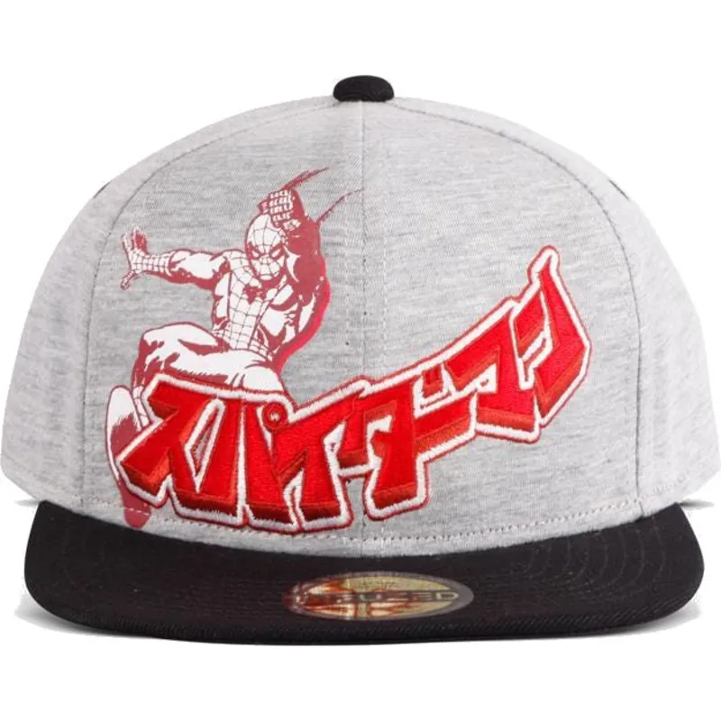 kepure-plokscia-pilka-snapback-japanese-difuzed