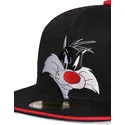 kepure-plokscia-juoda-snapback-space-jam-difuzed