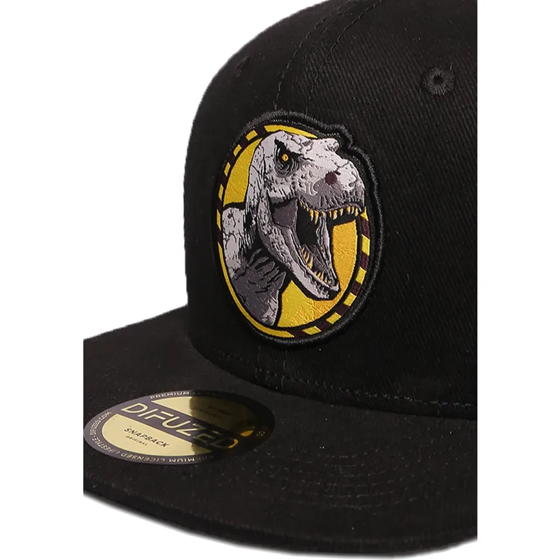 kepure-plokscia-juoda-snapback-difuzed kepure-plokscia-juoda-snapback-difuzed
