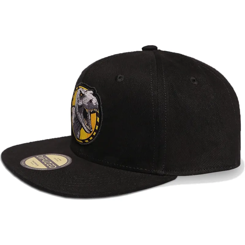 kepure-plokscia-juoda-snapback-difuzed kepure-plokscia-juoda-snapback-difuzed