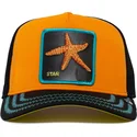 kepure-islenkta-oranzine-snapback-mar-baby-i-m-a-star-the-farm-goorin-bros