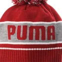 kepure-su-bumbulu-raudona-puma