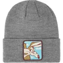 kepure-pilka-kojotas-looney-tunes-capslab