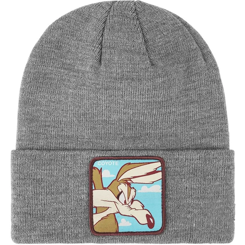 cap-gray-coyote-looney-tunes-capslab