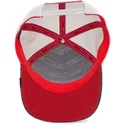 kepure-islenkta-melyna-snapback-vaikams-clever-little-raptor-the-farm-goorin-bros