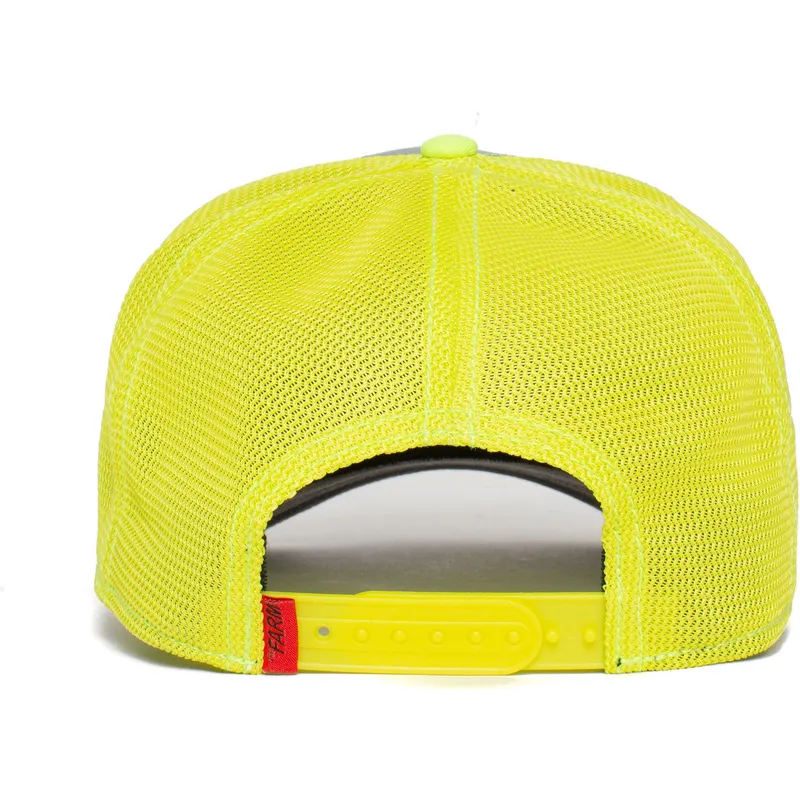 kepure-islenkta-zalia-snapback-cash-shine-metallic-the-farm-goorin-bros kepure-islenkta-zalia-snapback-cash-shine-metallic-the-farm-goorin-bros