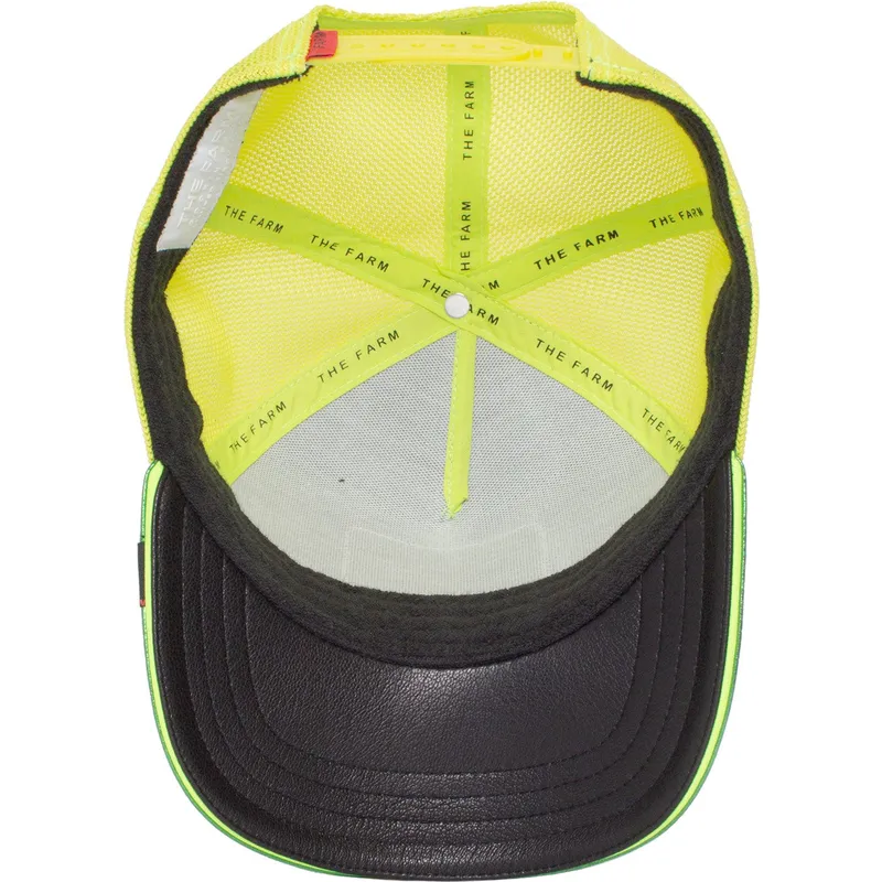 kepure-islenkta-zalia-snapback-cash-shine-metallic-the-farm-goorin-bros kepure-islenkta-zalia-snapback-cash-shine-metallic-the-farm-goorin-bros