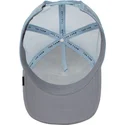 cap-islenkta-gray-snapback-the-farm-de-goorin-bros