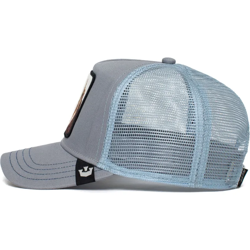 cap-islenkta-gray-snapback-the-farm-de-goorin-bros