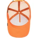 cap-islenkta-orange-snapback-the-farm-de-goorin-bros