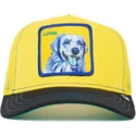 cap-islenkta-yellow-snapback-the-farm-de-goorin-bros