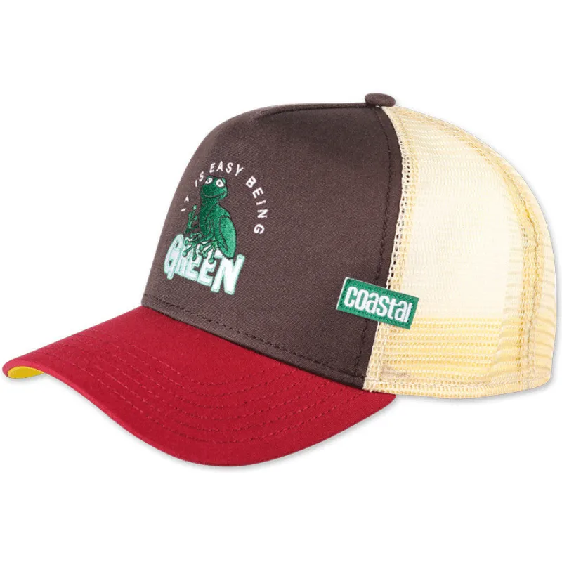 kepure-islenkta-ivairiaspalvis-snapback-it-is-easy-being-green-hft-coastal