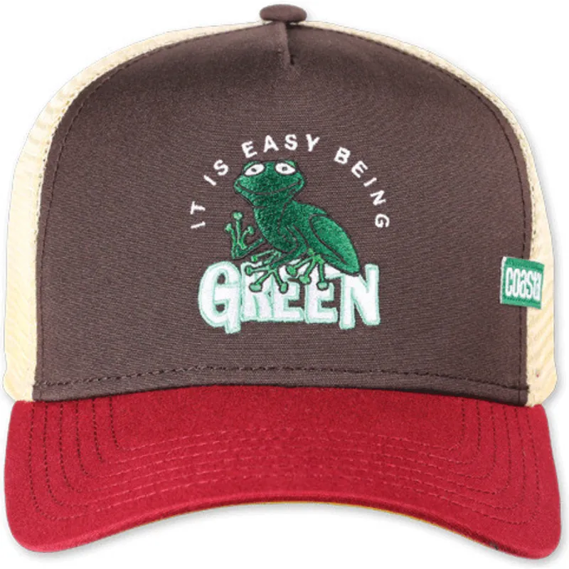 kepure-islenkta-ivairiaspalvis-snapback-it-is-easy-being-green-hft-coastal