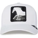 kepure-islenkta-balta-snapback-platinum-high-the-farm-goorin-bros