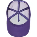 kepure-islenkta-violetine-snapback-vaikams-lone-wolf-lil-the-farm-goorin-bros