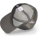 kepure-islenkta-pilka-snapback-tom-looney-tunes-capslab