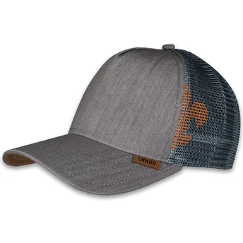 Kepurė išlenkta pilka snapback HFT Linen 2014 Djinns