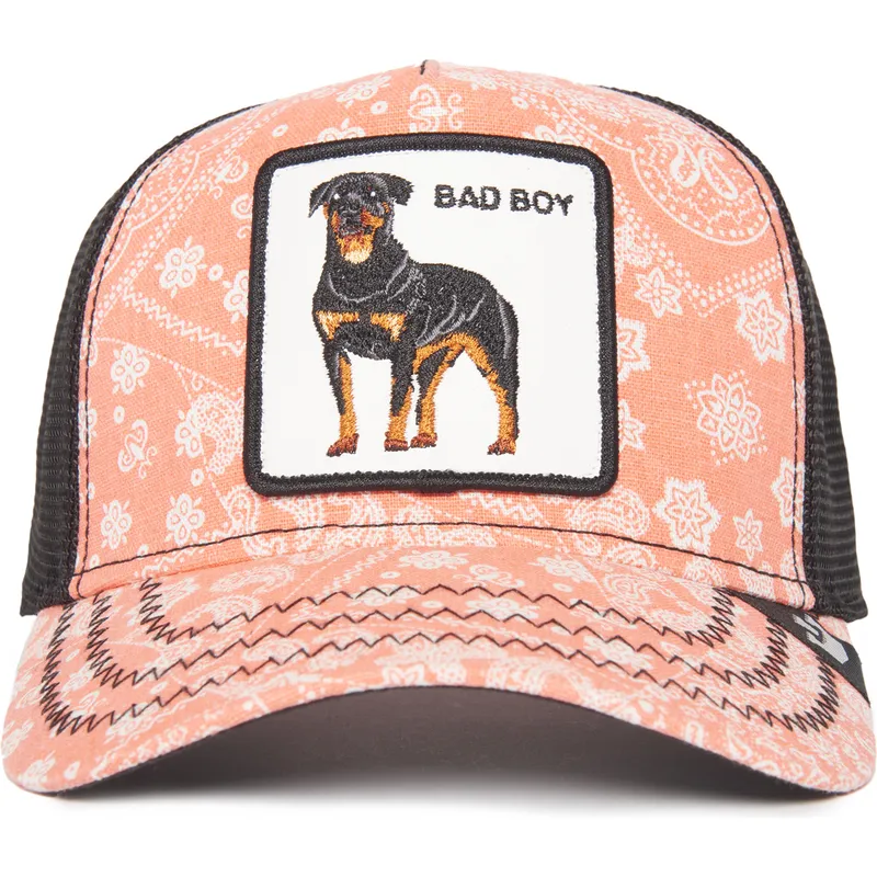 cap-islenkta-pink-snapback-the-farm-de-goorin-bros