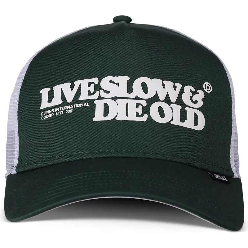 cap-islenkta-green-snapback-djinns