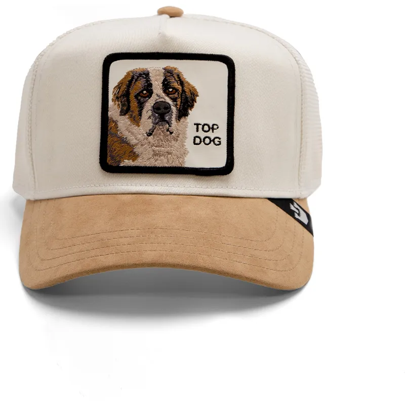 kepure-islenkta-smelio-snapback-top-dog-the-suede-st-bernard-the-farm-goorin-bros