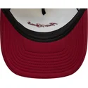kepure-islenkta-ivairiaspalvis-snapback-9forty-a-frame-tom-y-jerry-looney-tunes-new-era