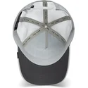cap-islenkta-gray-snapback-the-farm-de-goorin-bros