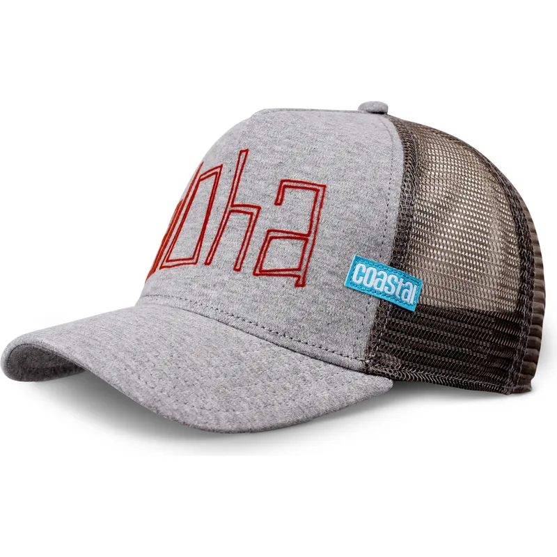 kepure-islenkta-vilkikas-pilka-snapback-aloha-jersey-hft-coastal