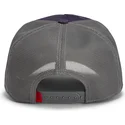 cap-islenkta-violet-snapback-goorin-bros-beat-dead-horse-horse-play-the-farm-purple-hat-the-farm-de-goorin-bros