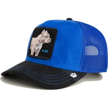 Czapka trucker niebiesko-czarna pitbull Flex Pitbull Suede The Farm od Goorin Bros.