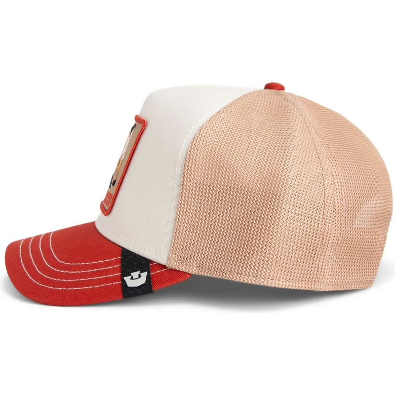kepure-islenkta-ivairiaspalvis-snapback-good-looks-tri-tone-the-farm-goorin-bros