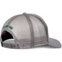 cap-islenkta-gray-snapback-djinns