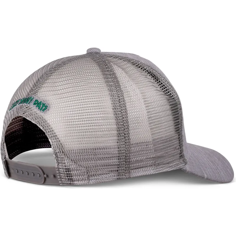 cap-islenkta-gray-snapback-djinns