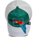 cap-islenkta-green-snapback-the-farm-de-goorin-bros