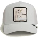 cap-islenkta-gray-snapback-the-farm-de-goorin-bros