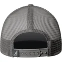 kepure-islenkta-vilkikas-pilka-snapback-fine-print-kangol