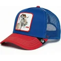 cap-islenkta-blue-snapback-the-farm-de-goorin-bros