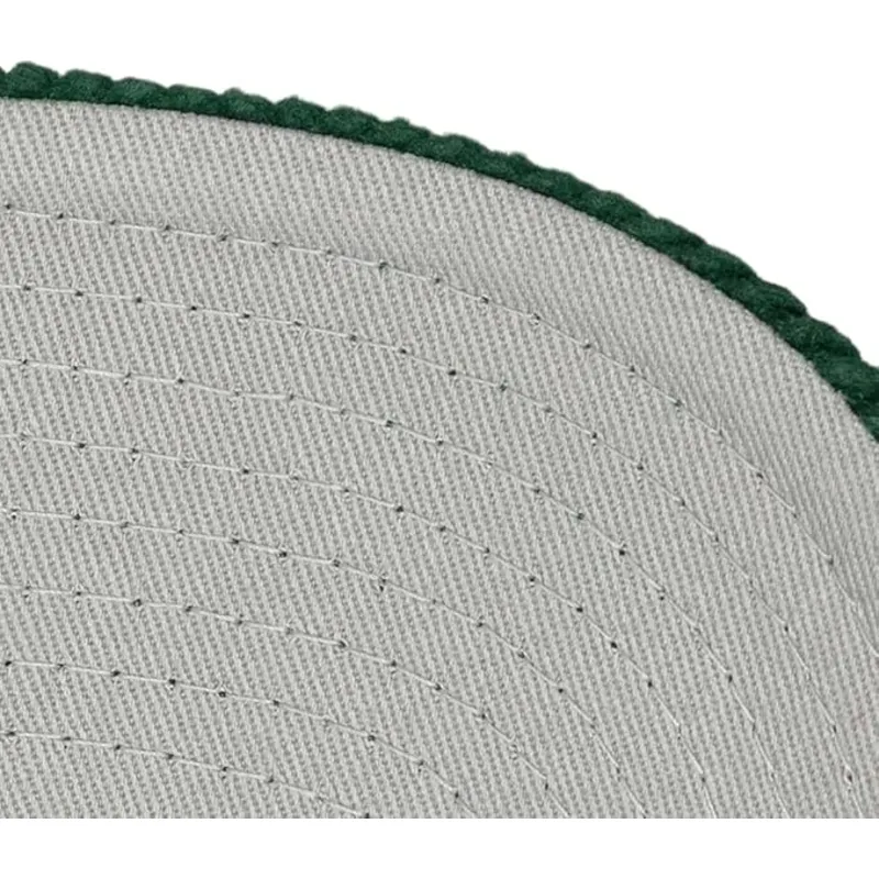 gorra-curva-verde-snapback-arch-stamp-pro-de-anaheim-ducks-nhl-de-mitchell-ness