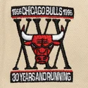 czarna-i-bezowa-czapka-z-daszkiem-snapback-across-the-board-chicago-bulls-nba-mitchell-ness