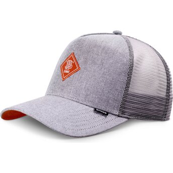 Cap išlenkta gray snapback Djinns
