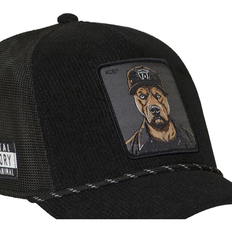 cap-islenkta-black-snapback-hip-hop-dogz-capslab