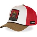 cap-islenkta-multicolor-snapback-hip-hop-dogz-capslab