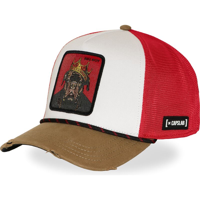 cap-islenkta-multicolor-snapback-hip-hop-dogz-capslab