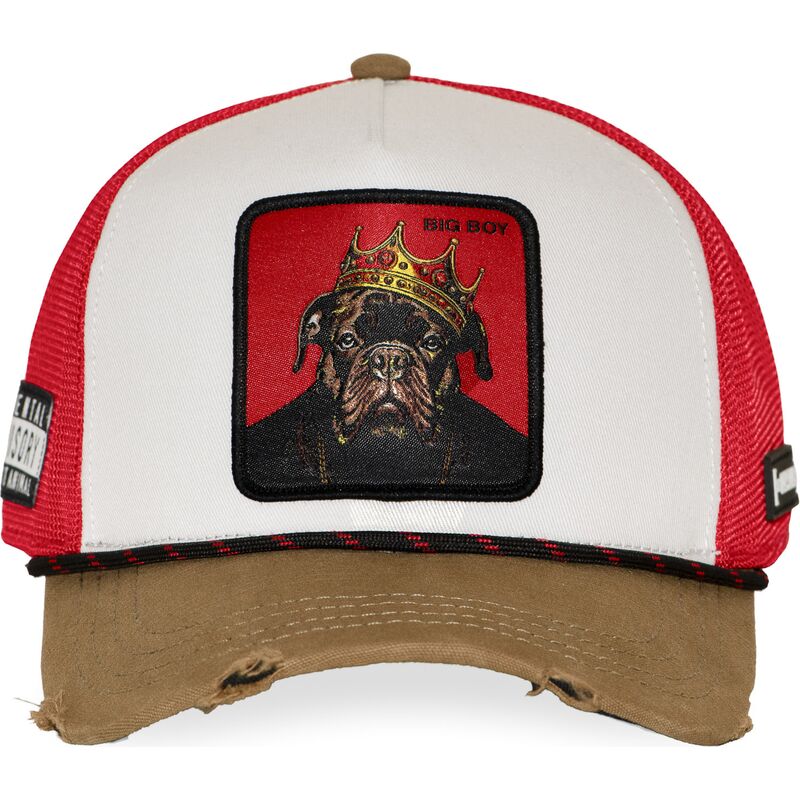 czapka-trucker-wielokolorowa-big-boy-hip-bigb-hip-hop-dogz-od-capslab