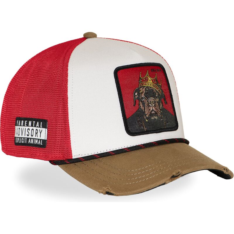 kepure-islenkta-vilkikas-ivairiaspalvis-snapback-big-boy-hip-bigb-hip-hop-dogz-hip-hop-dogz-capslab