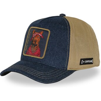 Cap išlenkta multicolor snapback Hip Hop Dogz Capslab